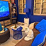 cat, fluffy_cat, white_cat, long_hair, indoors, living_room, sofa, couch, blue_decor, pillows, coffee_table, wine, wine_glasses, television, mario_figurine, bookshelf, windows, brick_wall, home_decor, portrait