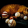 cat, orange_cat, sleeping, decorative_balls, wooden_balls, still_life, dark_background, cozy, pet, feline, resting, animal, texture, closeup, indoor, peaceful, relaxation, brown, soft_light, quiet