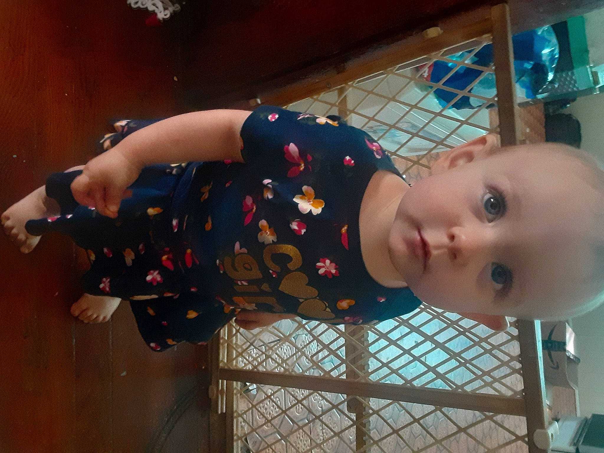 Paisley is registered to the contest to win money with this photo: cheek, child, person, toddler