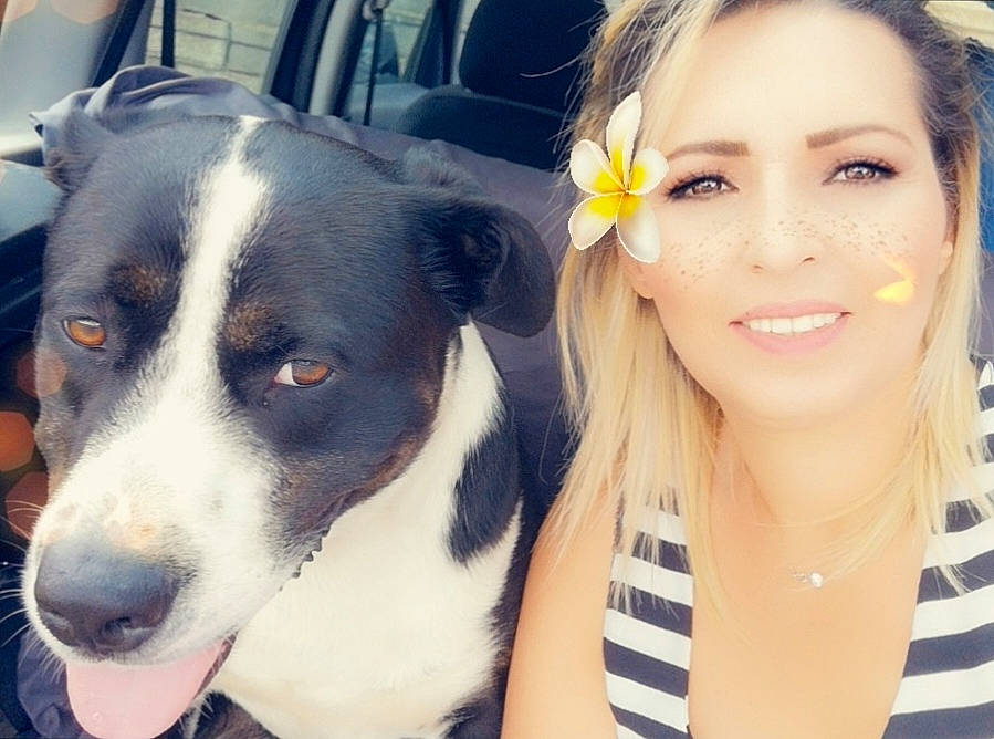 Alto participe au concours pour gagner de l'argent avec cette photo : canidae, carnivore, collar, companion_dog, dog, dog_breed, eyelash, flower, fur, happy, jaw, makeover, petal, plant, smile, snout, sporting_group, street_fashion, whiskers, working_animal