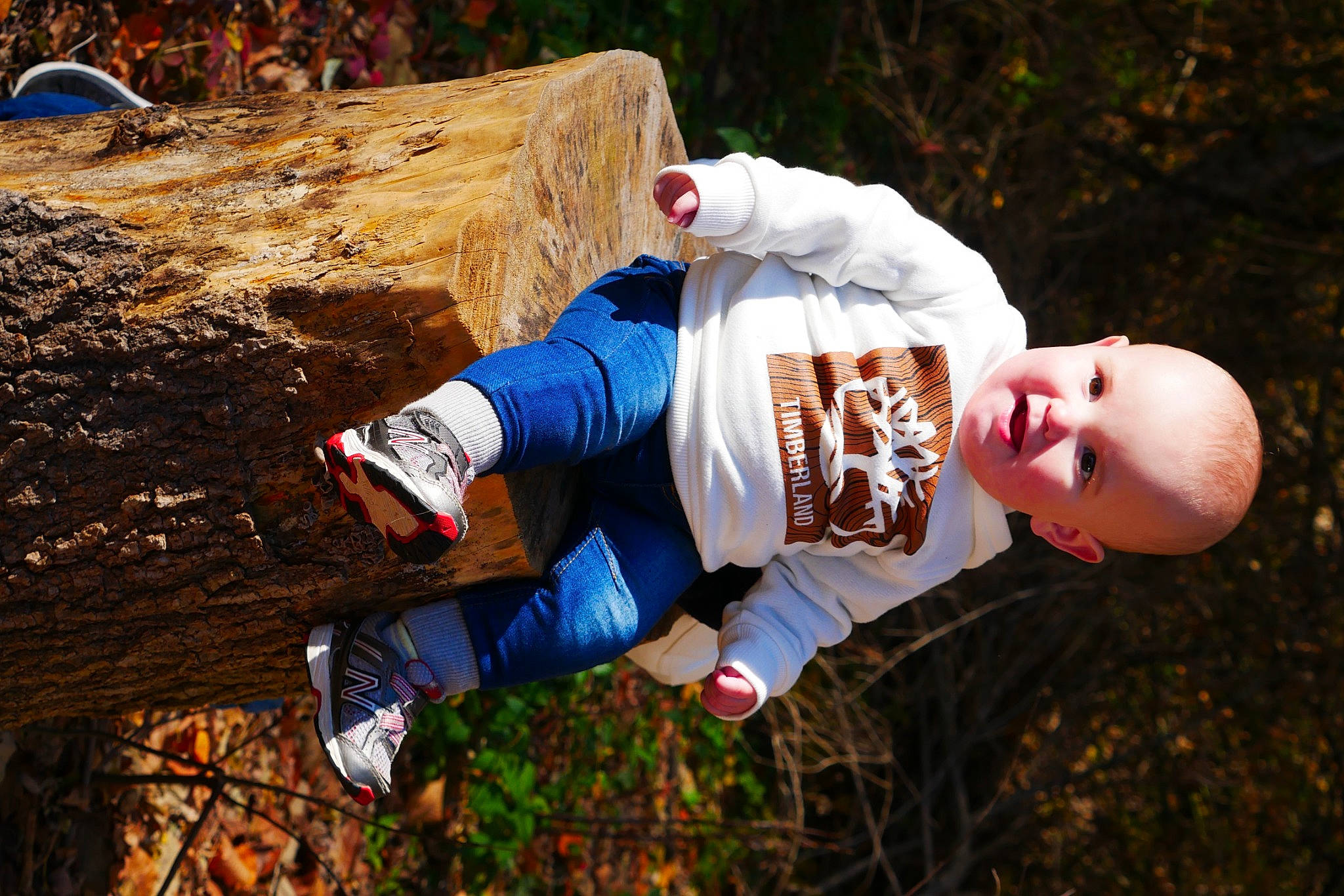 Daniel joined the competition — help win amazing prizes! adventure, autumn, baby, child, flash_photography, fun, grass, happy, leisure, people_in_nature, person, plant, recreation, soil, toddler, tree, trunk, winter, wood, woody_plant