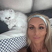 Bella And Elsa joined the competition — help win amazing prizes! bed, blanket, blonde_hair, cat, closeup, companion, cute, face, fluffy, headband, indoor, kitten, makeup, pet, pillow, portrait, relaxing, resting, sleepy, woman