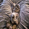 cat, tabby_cat, pet, animal, feline, sleeping, relaxed, cozy, blanket, soft_texture, paws, fur, tail, indoor, resting, cute, domestic_animal, comfort, lying_down, nap