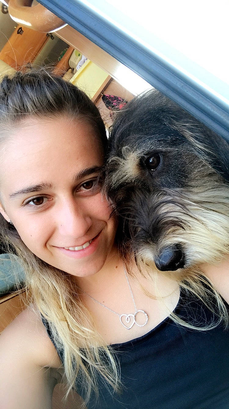 Olya a rejoint le concours — aidez-le/la à gagner de superbes lots ! brown_hair, canidae, carnivore, dog, dog_breed, ear, hair, miniature_schnauzer, morkie, neck, photography, schnauzer, schnoodle, selfie, skin, snout