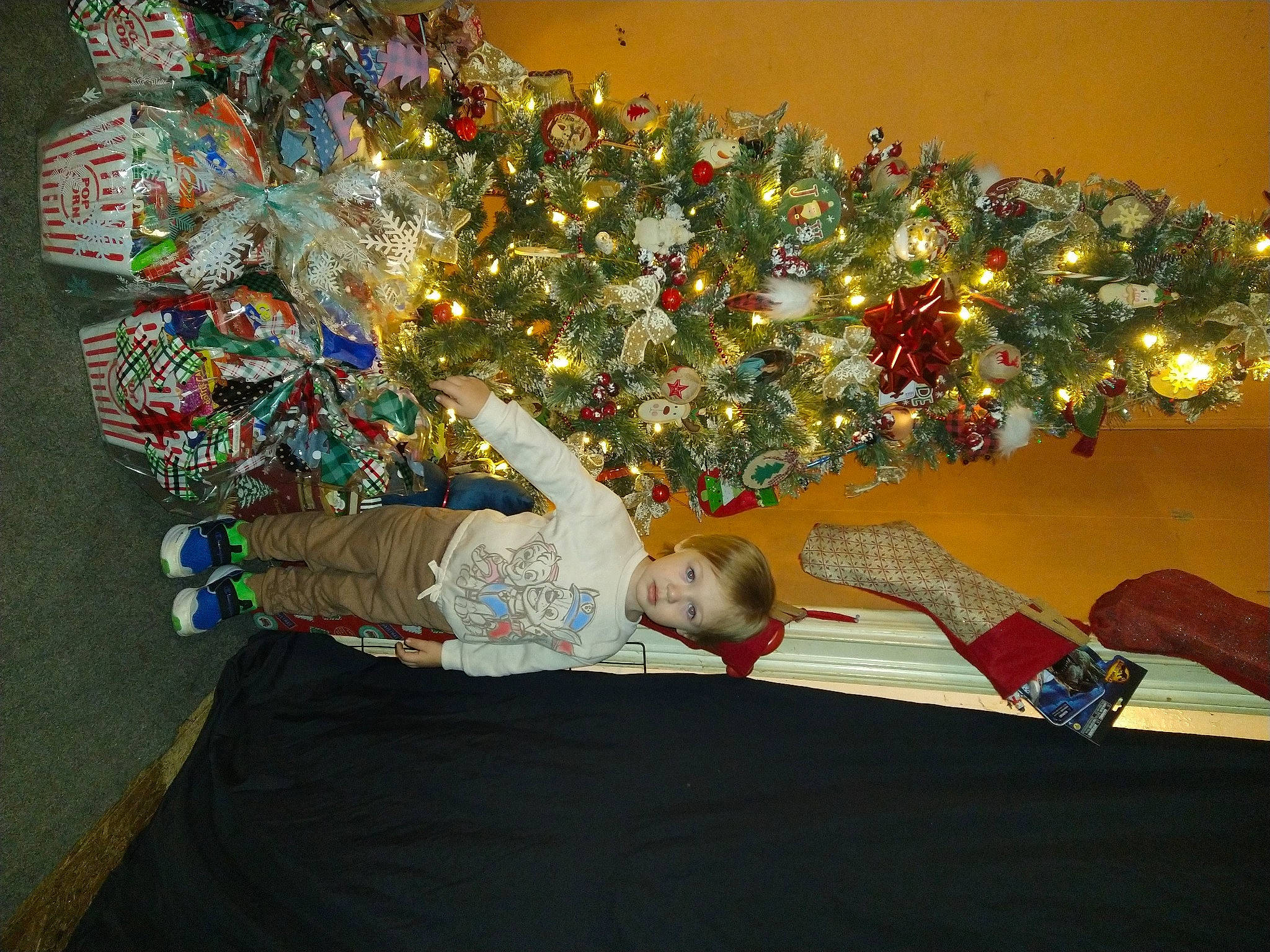 Azzy is registered to the contest to win money with this photo: carmine, christmas, christmas_decoration, christmas_eve, christmas_lights, christmas_ornament, christmas_tree, conifer, event, fir, holiday, holiday_ornament, interior_design, ornament, person, plant, room, toddler, tradition, tree