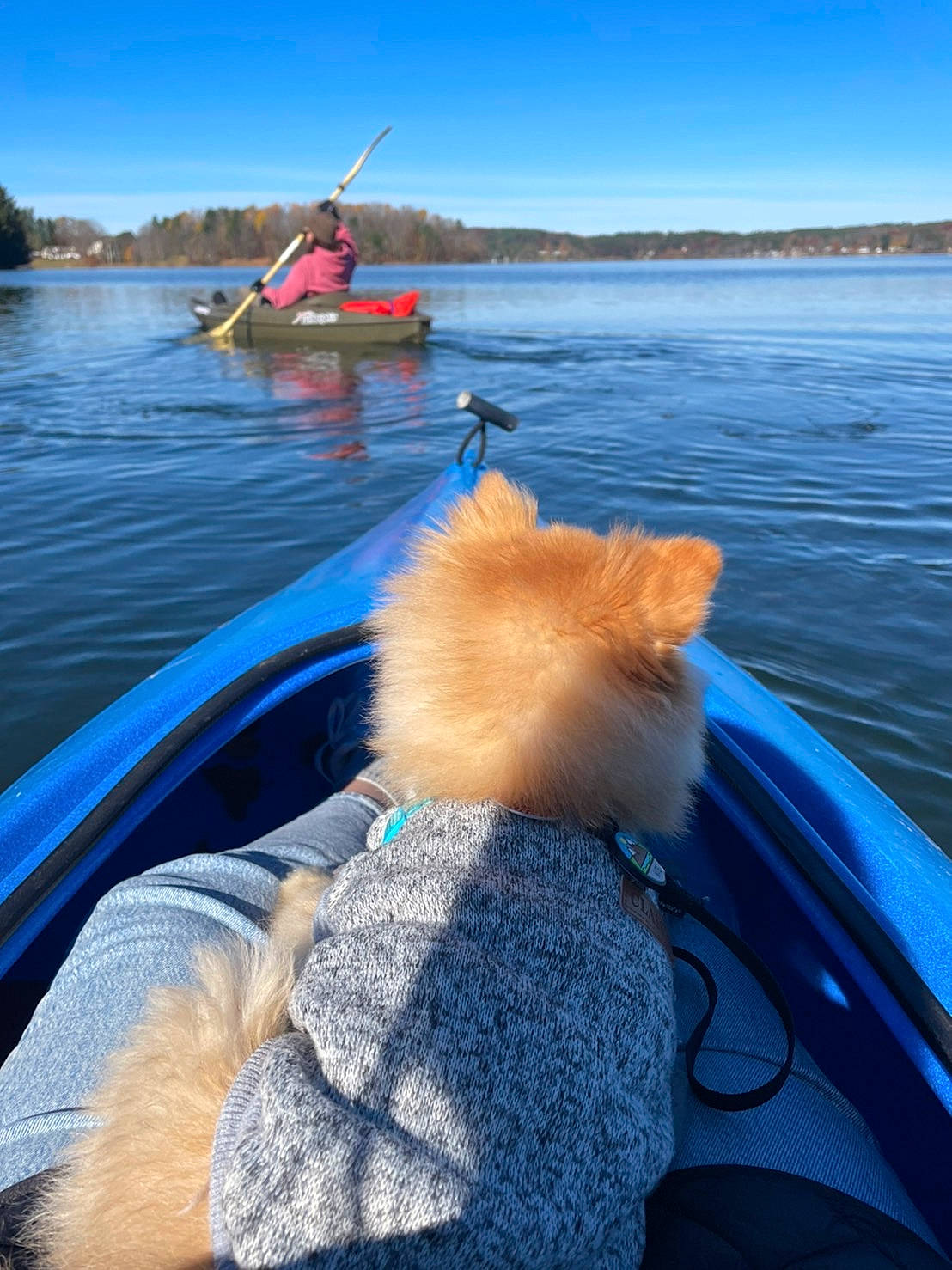 Nate is registered to the contest to win money with this photo: boat, boats_and_boating_equipment_and_supplies, canoe, canoeing, electric_blue, lake, leisure, naval_architecture, oar, outdoor_recreation, paddle, personal_protective_equipment, recreation, sky, sports_equipment, vehicle, water, water_transportation, watercraft, watercraft_rowing