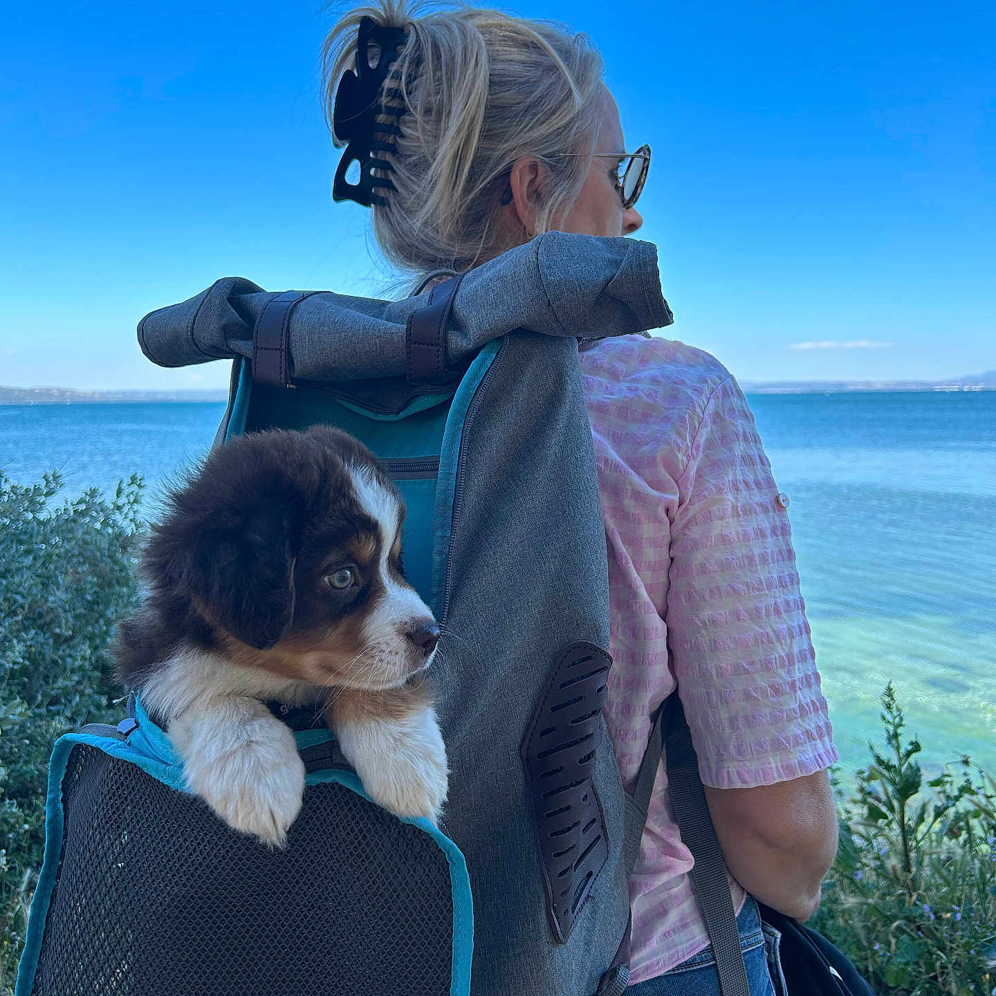 Axurit participe au concours pour gagner de l'argent avec cette photo : accessories, adult, animal, backpack, backpacking, bag, canine, dog, face, female, glasses, handbag, head, nature, person, pet, photography, portrait, puppy, woman