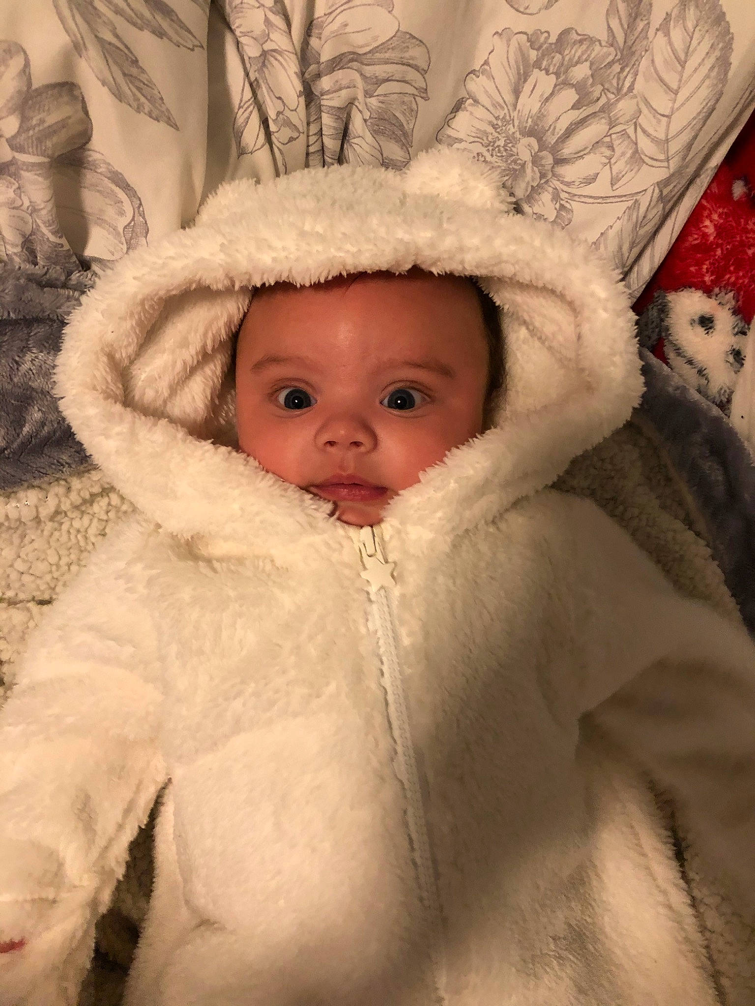 Makai joined the competition — help win amazing prizes! animal_product, baby, baby_products, baby_toddler_clothing, beige, bonnet, cheek, child, comfort, costume_accessory, fur, fur_clothing, hood, human, natural_material, person, skin, textile, toddler, winter