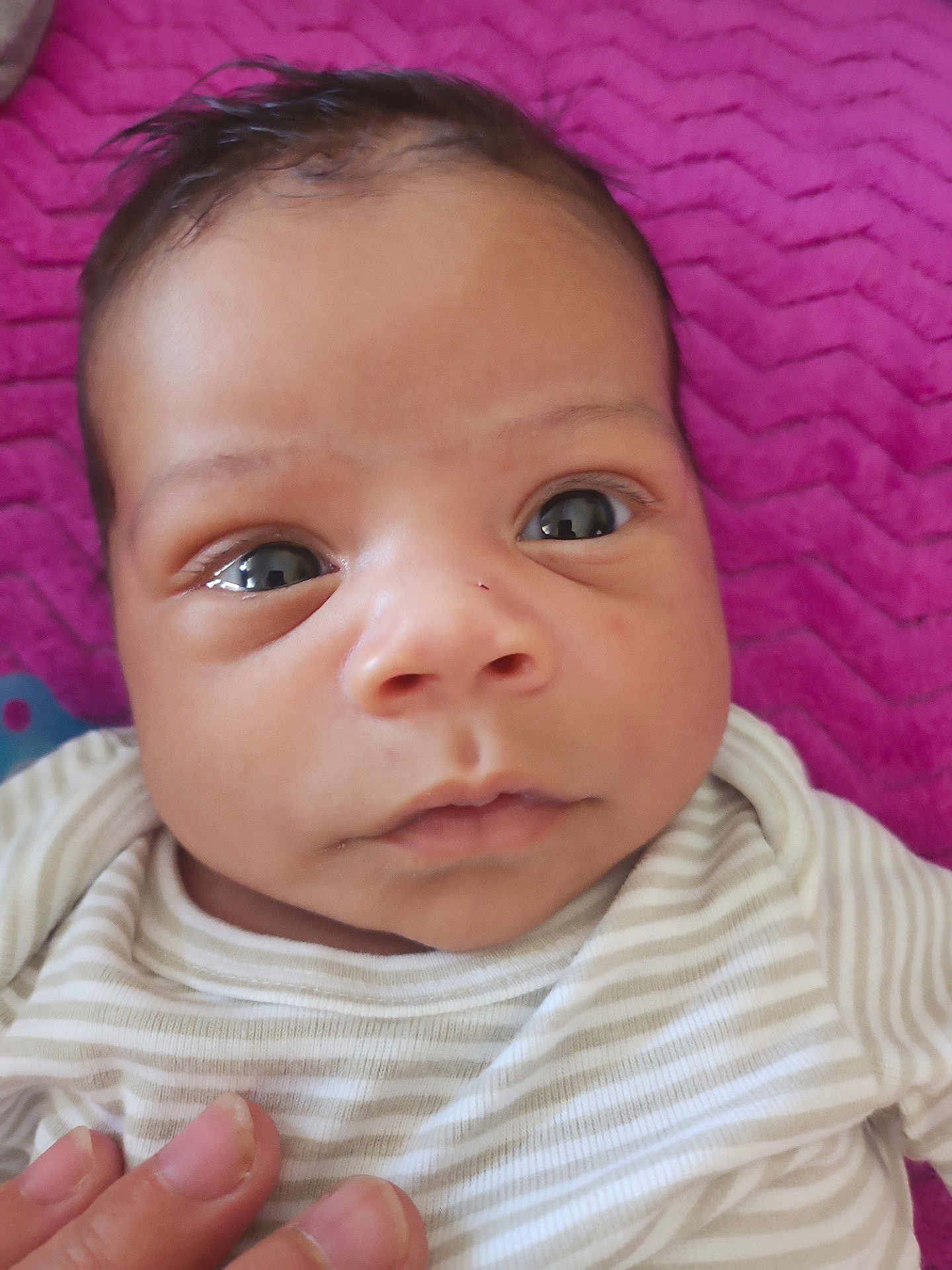 Jayden