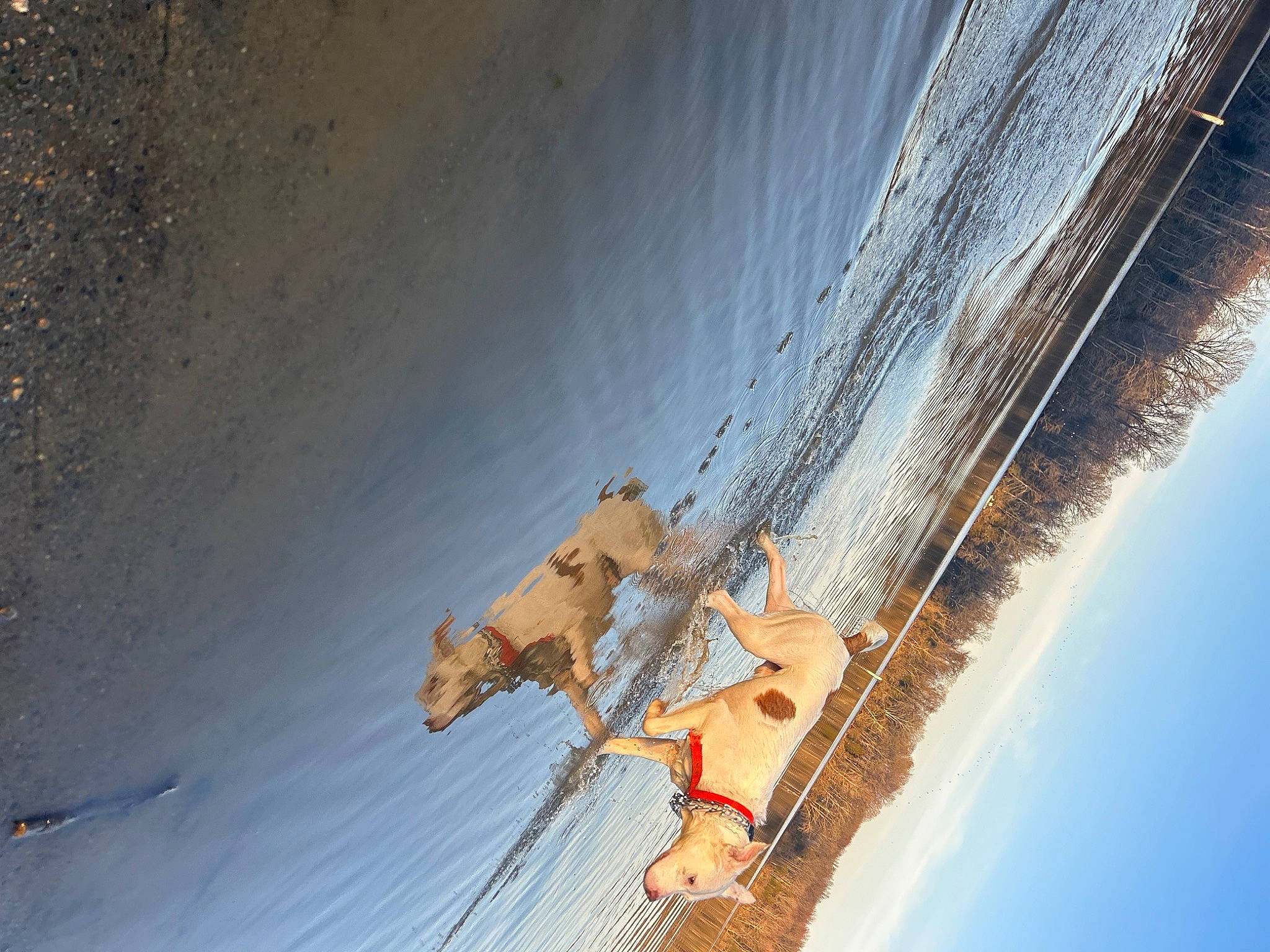 Diesel is registered to the contest to win money with this photo: azure, ceiling, cloud, concrete, electrical_supply, landscape, leisure, line, recreation, reflection, rope, shadow, sky, slope, sport_climbing, tints_and_shades, water, winter, wire, wood