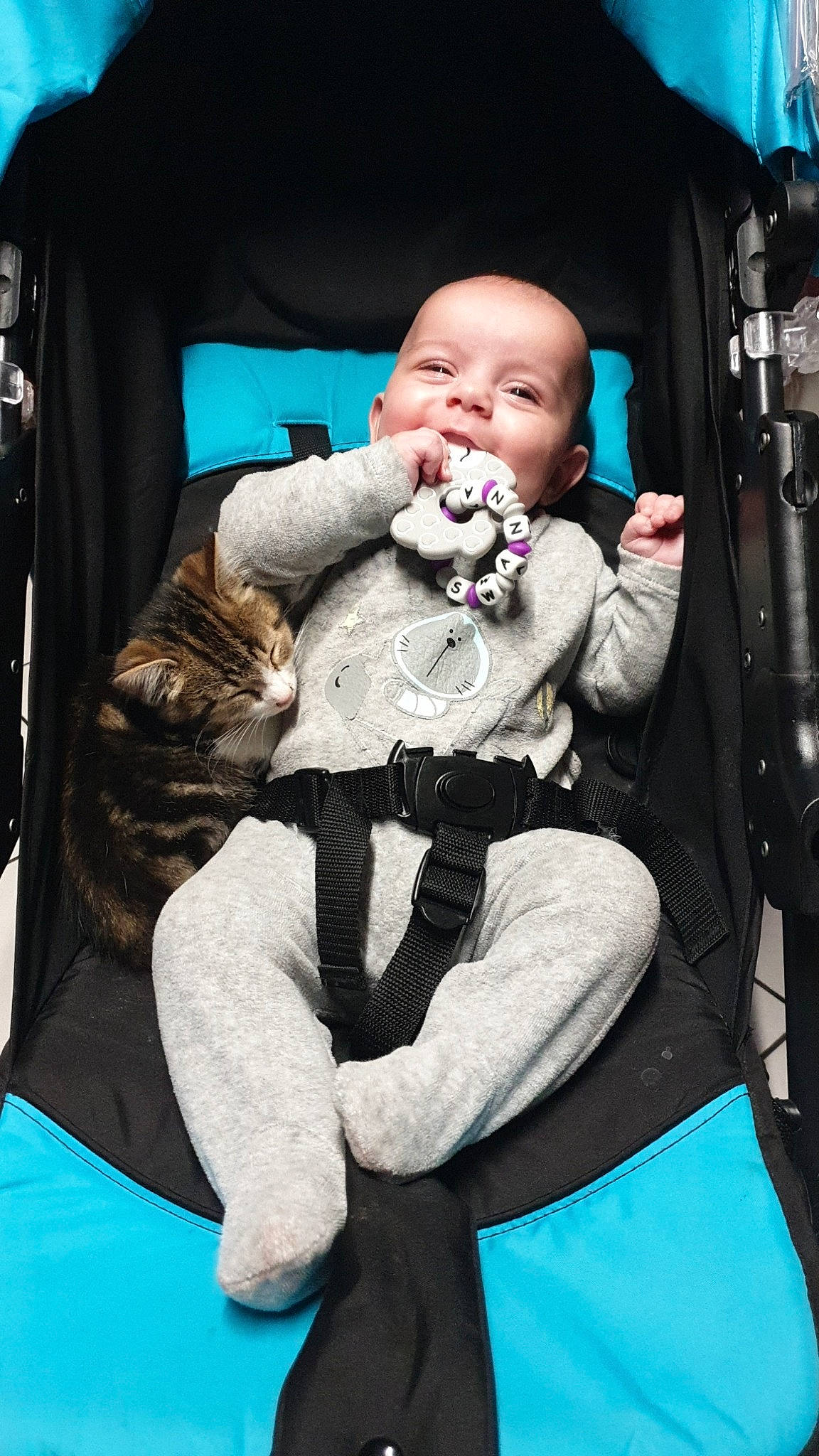 Swanna a rejoint le concours — aidez-le/la à gagner de superbes lots ! baby, baby_in_car_seat, car_seat, child, person, toddler