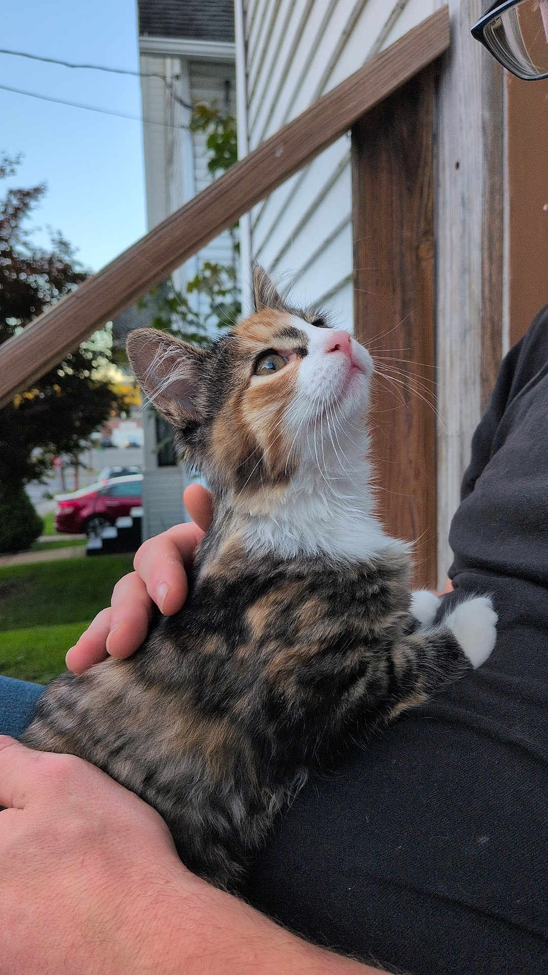 Zoey