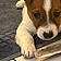 Satchmo