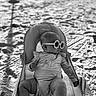 baby, sunglasses, beach, sand, chair, swimsuit, child, sunny, outdoor, relaxing, summer, portrait, infant, seat, shade, cute, fashion, vacation, monochrome, sunshine