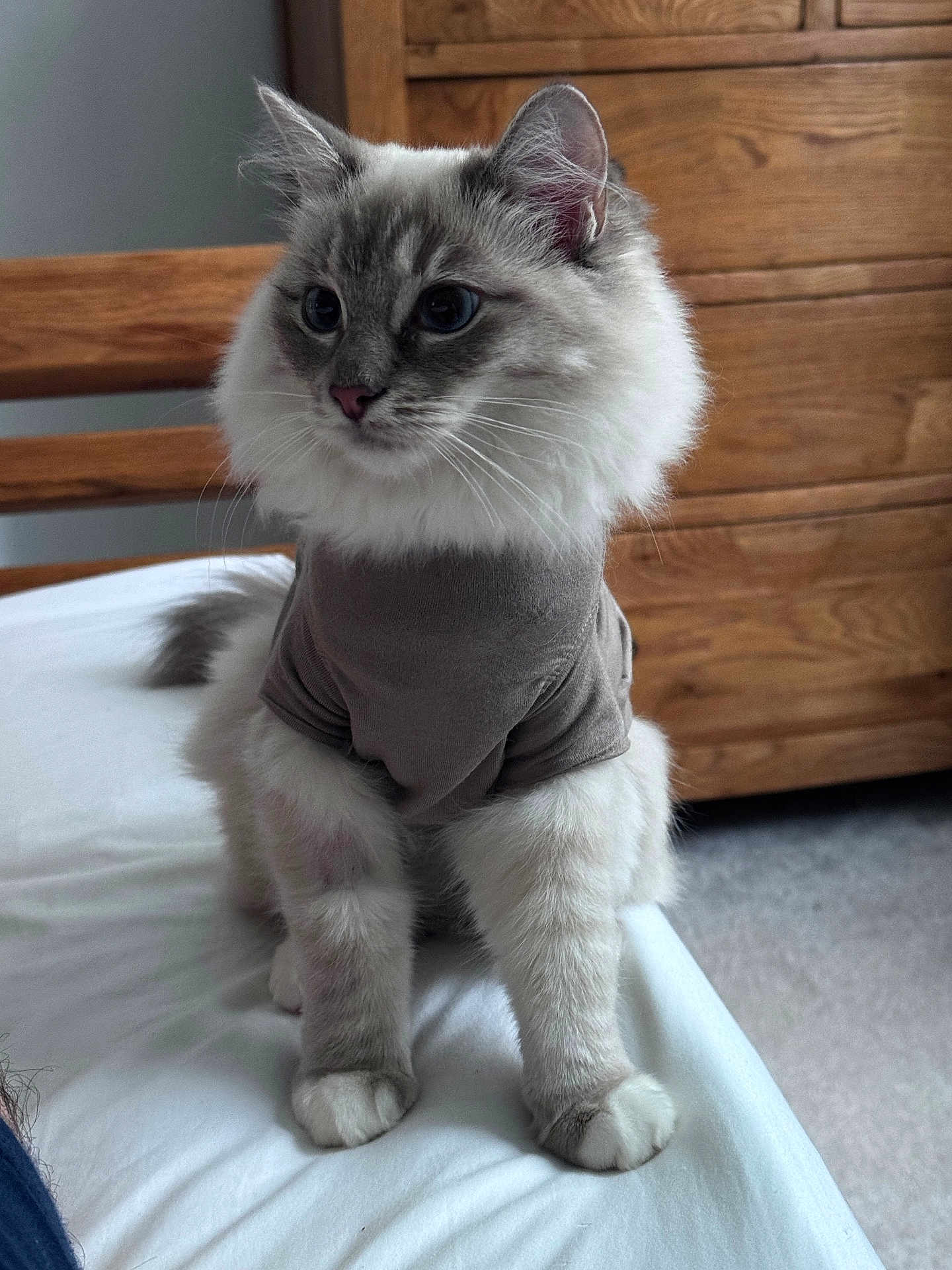 Lua