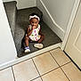 Pheobe joined the competition — help win amazing prizes! toddler, child, sitting, stairs, carpet, headband, dress, shoes, indoors, tile_floor, white_wall, snack, curious, looking_up, home, corner, young_child, person, cute, casual