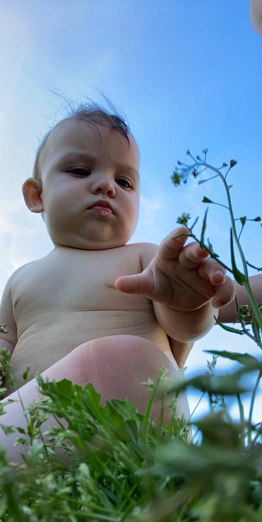 Cain is registered to the contest to win money with this photo: baby, botany, child, finger, flower, grass, hand, happy, meadow, person, plant, skin, smile, toddler, wildflower