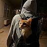 person, hoodie, backpack, kitten, cat, night, alley, outdoor, dark, walking, animal, pet, orange_cat, curious, blurred, casual, spontaneous, urban, street, young_cat