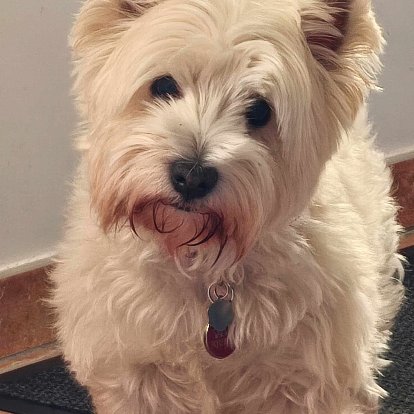 Naya