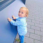 Alex participe au concours pour gagner de l'argent avec cette photo : toddler, child, boy, blue_eyes, blond_hair, striped_shirt, jeans, sandals, sidewalk, pavement, greenery, curious, outdoor, urban, window_reflection, standing, hands_on_surface, casual_clothing, daylight, young_child