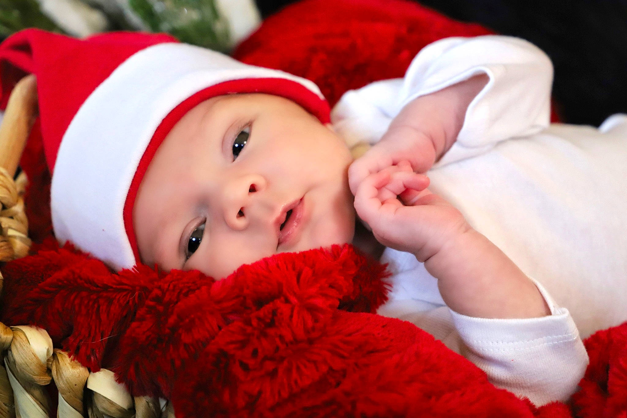 Tayden joined the competition — help win amazing prizes! baby, child, christmas, christmas_eve, fictional_character, happy, headwear, person, portrait_photography, red, santa_claus, skin, toddler