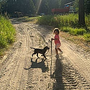 Alyia joined the competition — help win amazing prizes! child, puppy, dog, dirt_road, trees, sunlight, shadow, outdoor, nature, grass, summer, playful, walking, forest, vehicle, truck, smiling, pink_shirt, shorts, leash