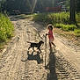 child, puppy, dog, dirt_road, trees, sunlight, shadow, outdoor, nature, grass, summer, playful, walking, forest, vehicle, truck, smiling, pink_shirt, shorts, leash