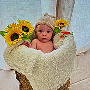Petru participe au concours pour gagner de l'argent avec cette photo : baby, basket, blanket, hat, sunflower, flower, carrot, floor, tile, curtain, indoors, cute, child, portrait, sitting, warm, soft, woven, decoration, cozy