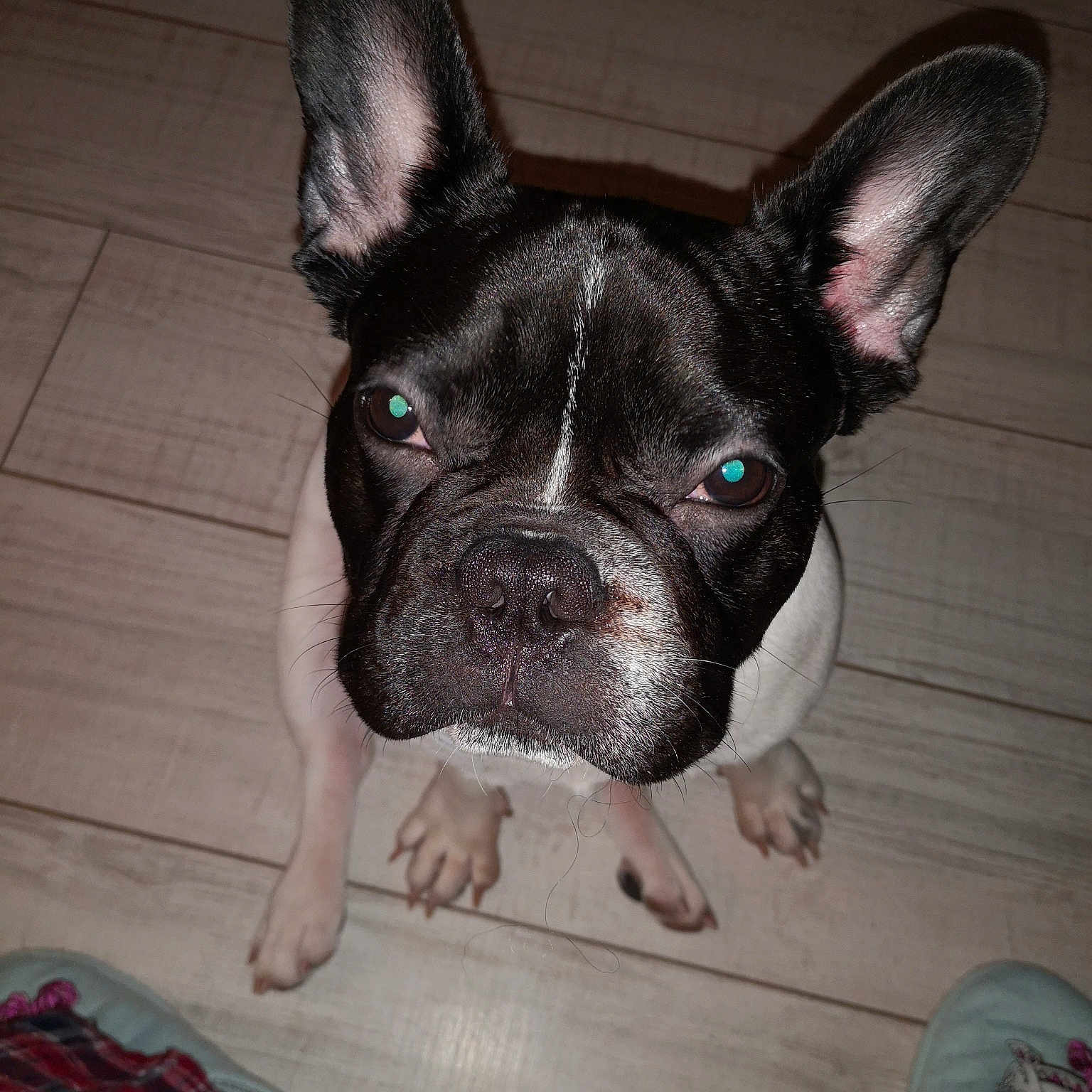 Olaf