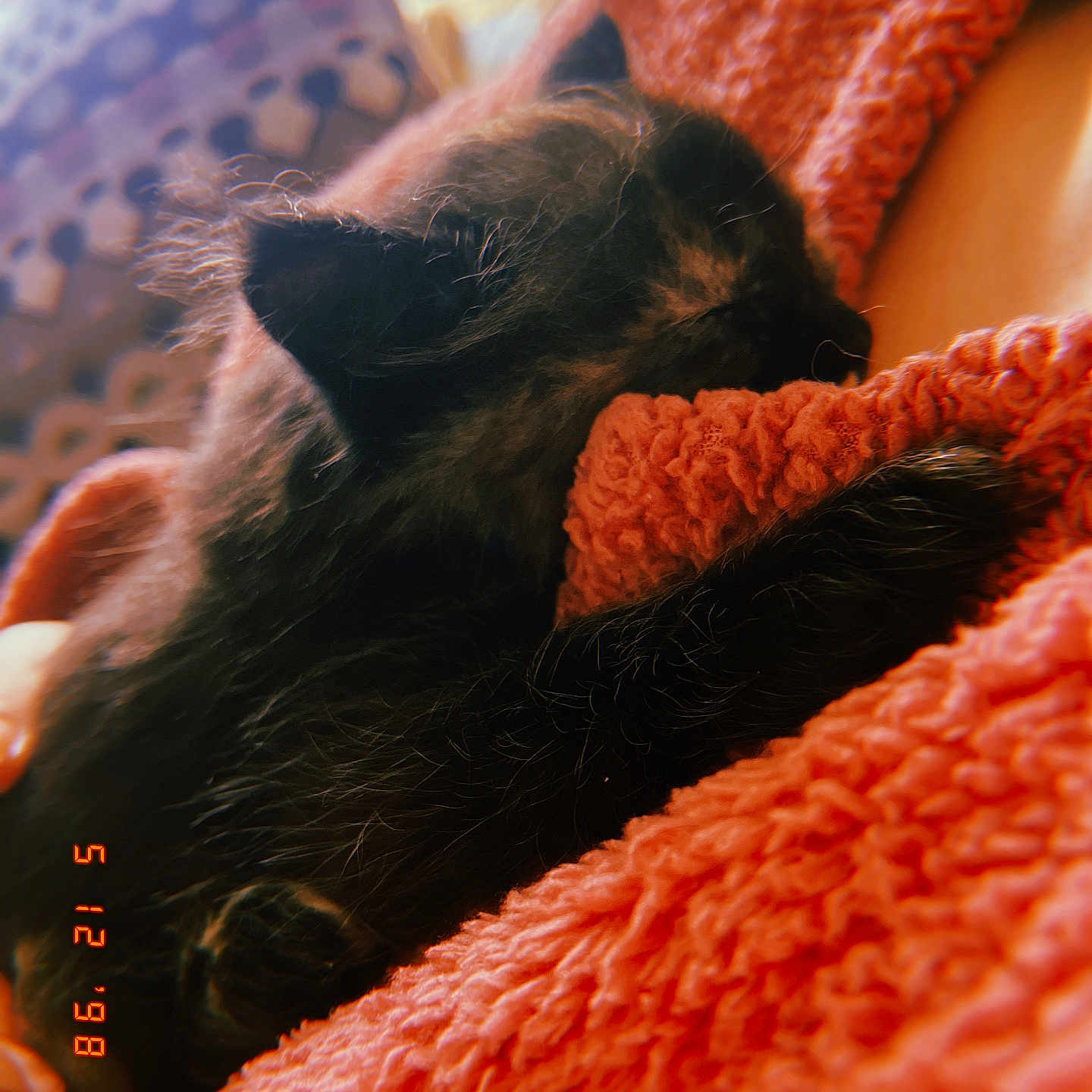 Twyla