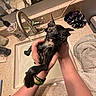 cat, wet_cat, bath, hands, sink, bathroom, towel, scrunchies, faucet, water, countertop, dripping, pet_care, domestic, indoor, animal, cute, expression, holding, fur