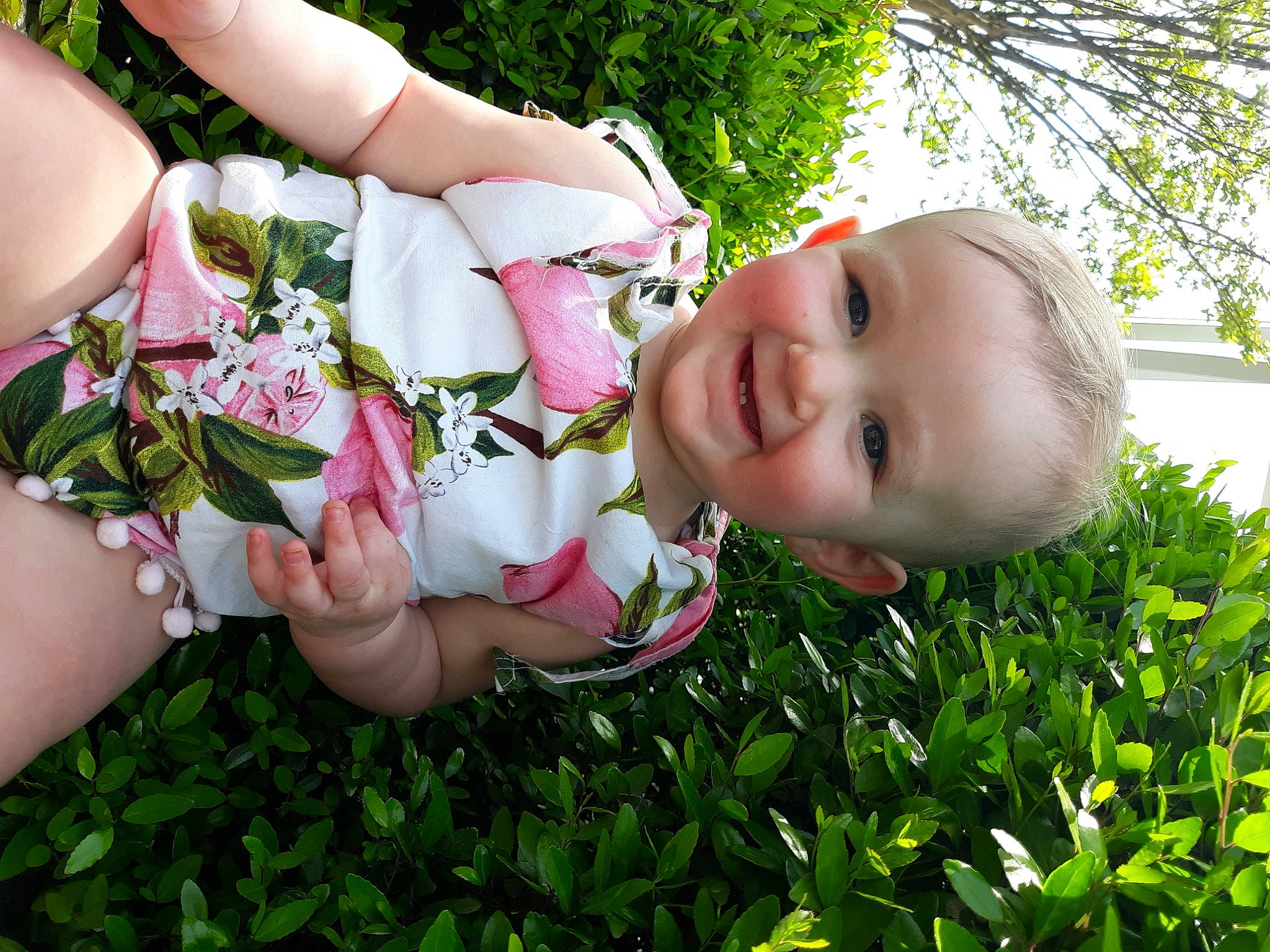 Zoey is registered to the contest to win money with this photo: baby, botany, child, dress, finger, flower, garden, grass, hand, happy, joy, leaf, person, petal, pink, plant, skin, spring, summer, toddler