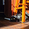 animal, black_cat, bright_light, chair_leg, cozy, curiosity, feline, floor, home, indoor, pet, playful, relaxed, resting, shadow, sunlight, whiskers, wooden_chair, wooden_floor, yellow_eyes