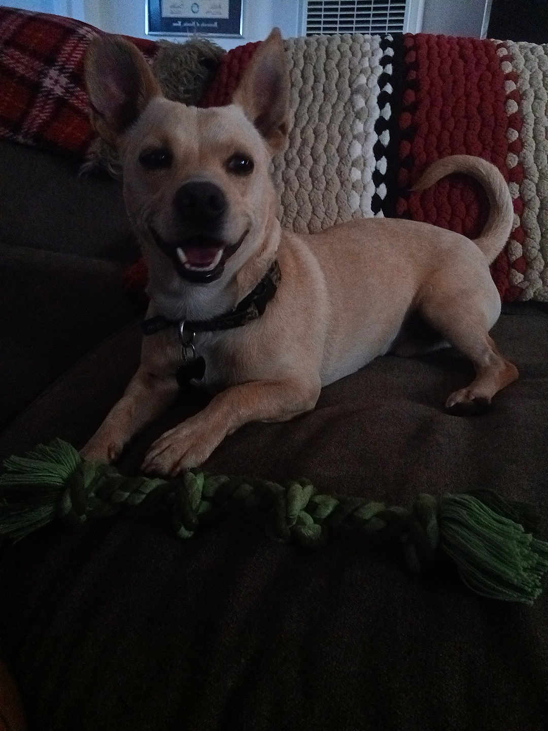Zeus