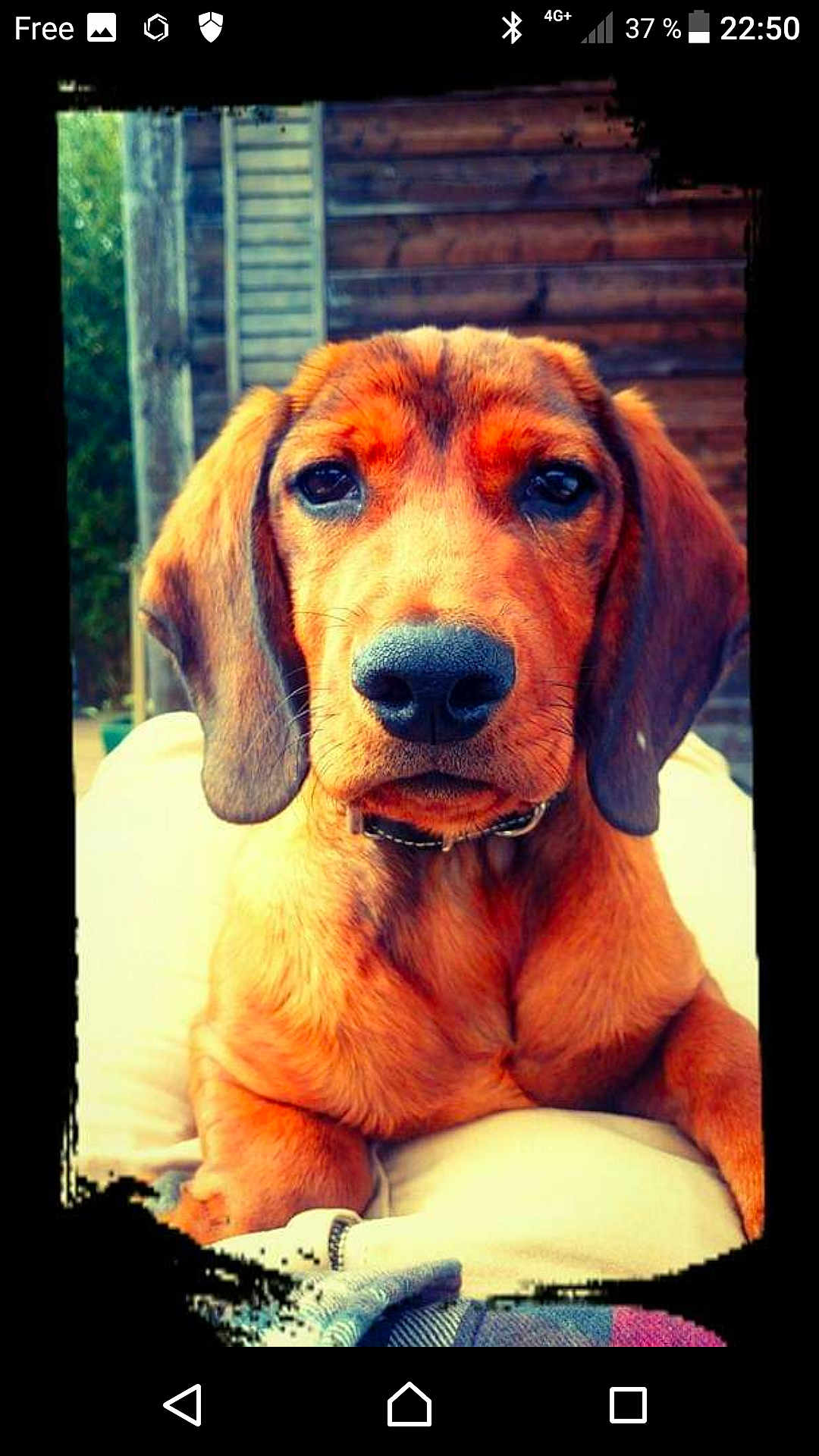 Max