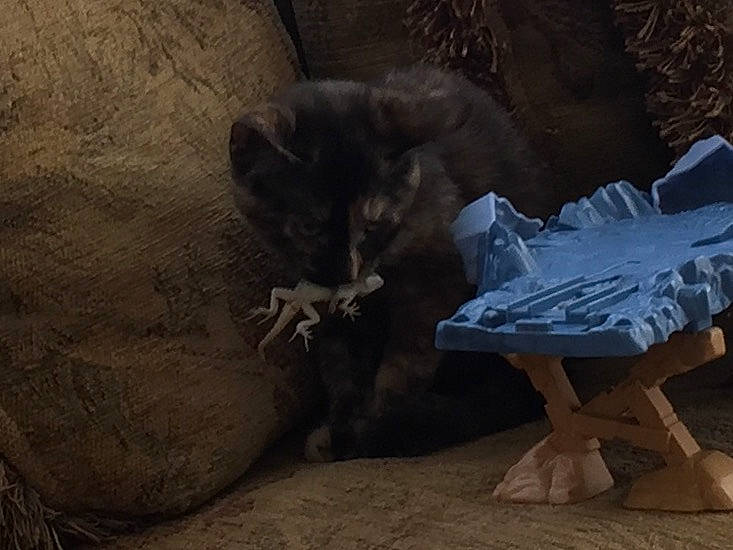 Callie joined the competition — help win amazing prizes! art, darkness, felidae, fur, landscape, rock, sculpture, small_to_medium_sized_cats, soil, tail, terrestrial_animal, visual_arts, whiskers, wing, wood, working_animal