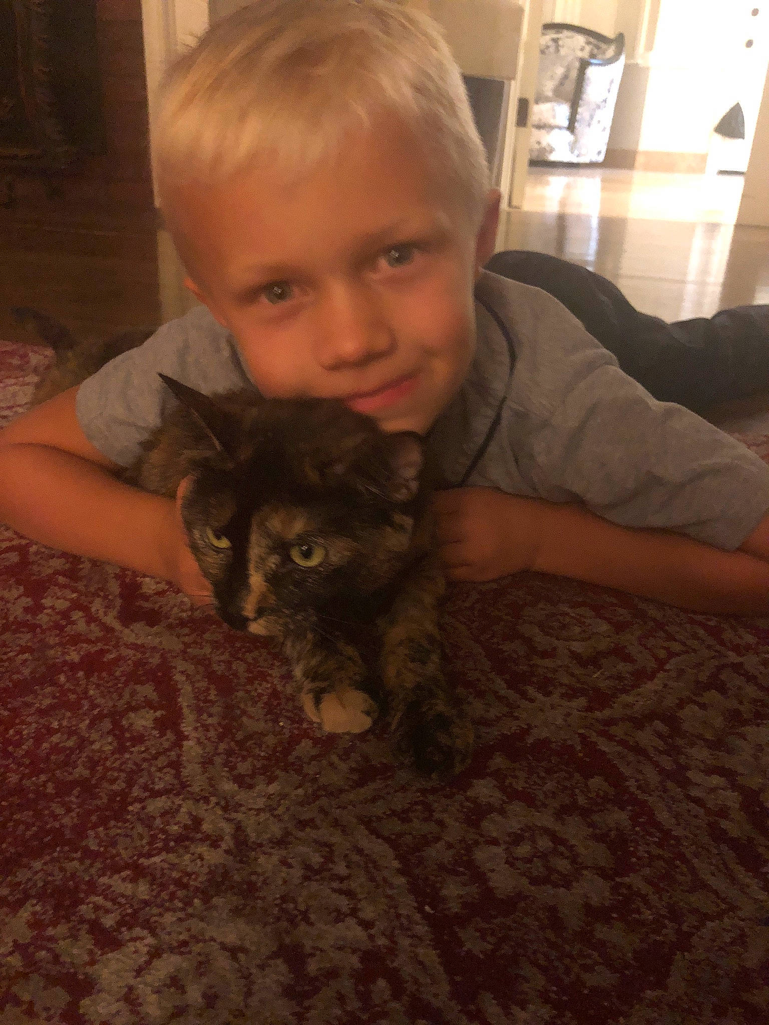 Callie joined the competition — help win amazing prizes! carnivore, cat, child, comfort, companion_dog, domestic_short_haired_cat, felidae, floor, flooring, fur, hardwood, iris, lap, room, sitting, small_to_medium_sized_cats, smile, toddler, whiskers, wood