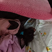 Amber Steele is registered to the contest to win money with this photo: bed, bedding, blanket, collar, cozy, dog, ear, floral_sheet, fur, id_tag, indoor, jacket, pattern, pet, pink_blanket, puppy, sleeping, snout, soft, textile