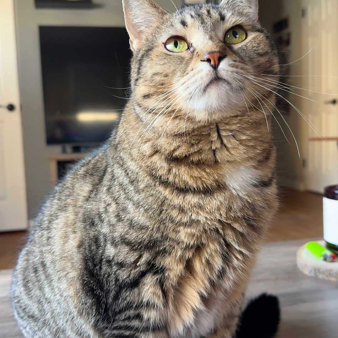 Lucy