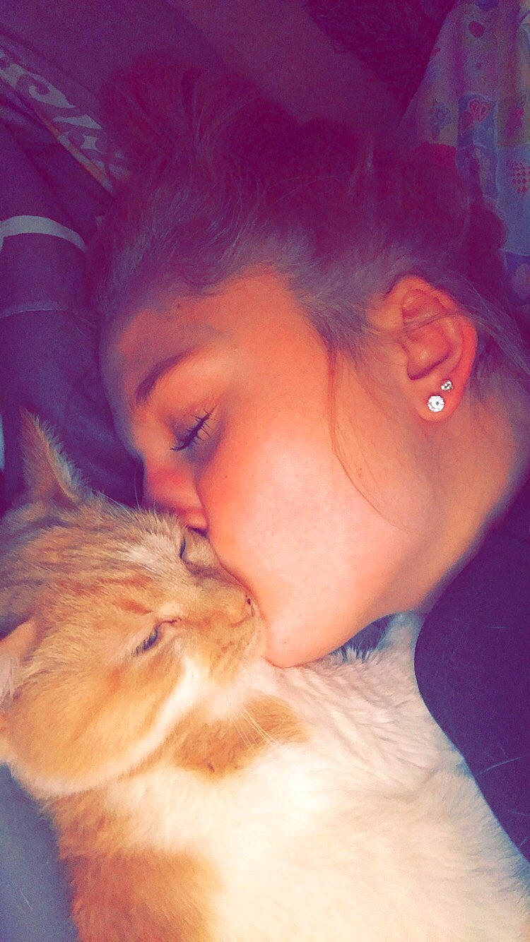 Pumpkin joined the competition — help win amazing prizes! baby, cat, cheek, child, ear, eye, face, felidae, forehead, fur, gesture, interaction, lip, love, mouth, neck, nose, person, skin, sleep