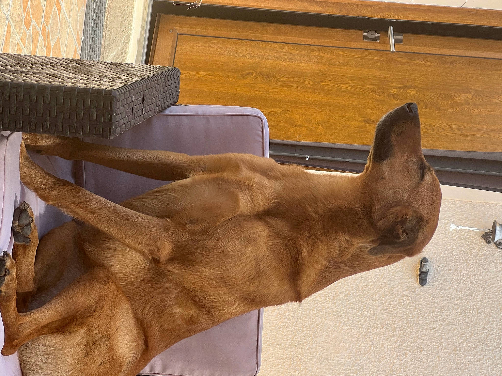 Oxana participe au concours pour gagner de l'argent avec cette photo : art, barechested, bronze_sculpture, chest, classical_sculpture, elbow, fawn, felidae, gesture, hardwood, human_leg, liver, mammal, monument, sculpture, snout, statue, tail, trunk, wood