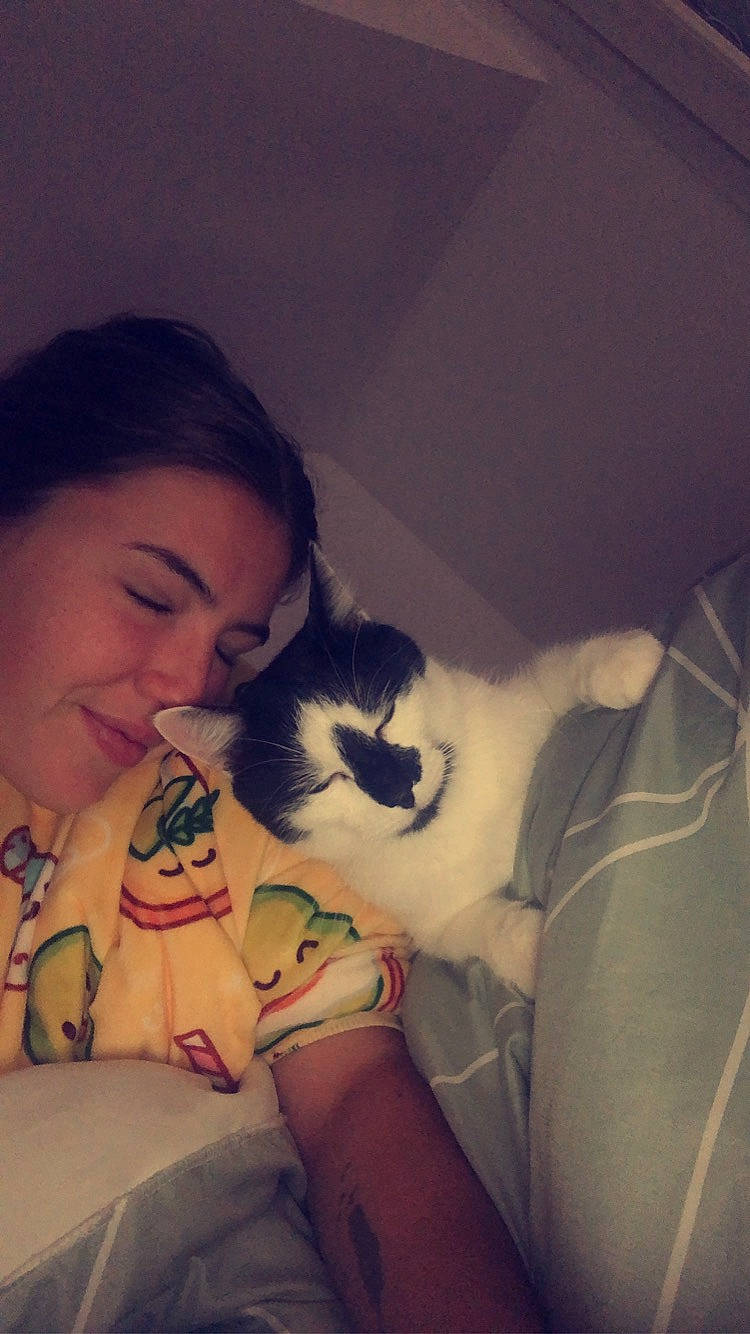 Chausette participe au concours pour gagner de l'argent avec cette photo : carnivore, cat, comfort, fawn, felidae, hair, hand, happy, head, human_body, iris, lap, leg, mouth, neck, nose, small_to_medium_sized_cats, thigh, vertebrate, whiskers