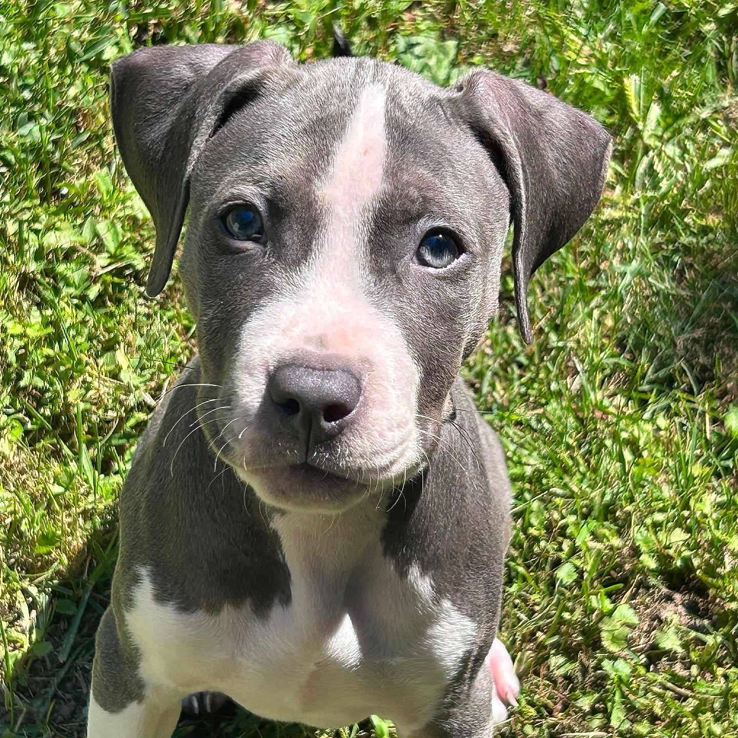 Ellie