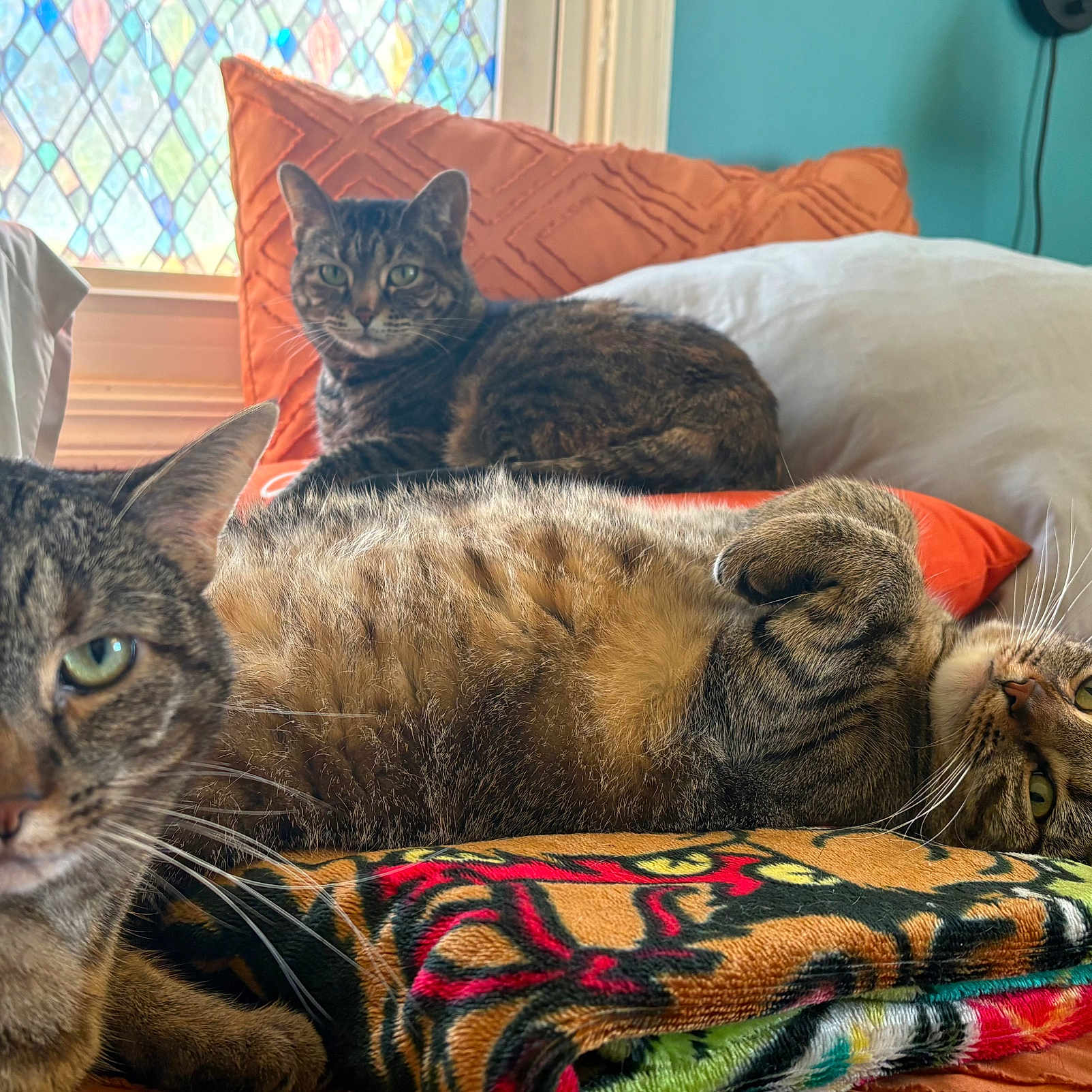 Daisy Maggie Babs