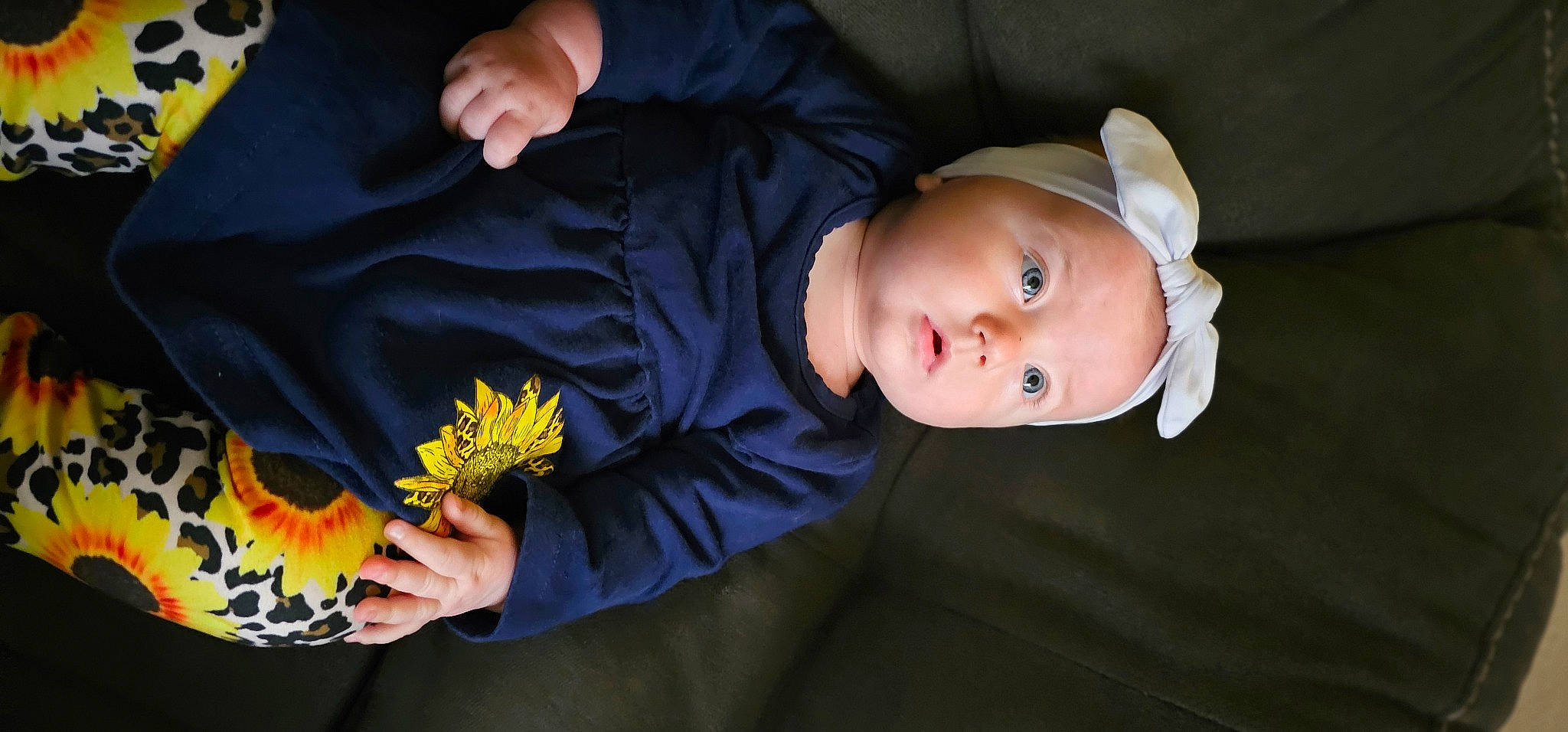 Hailee is registered to the contest to win money with this photo: baby, baby_products, baby_toddler_clothing, bouquet, child, comfort, floral_design, flower, grass, hand, headwear, nail, person, petal, plant, pollen, sitting, sleeve, smile, sunflower