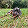 Arlo