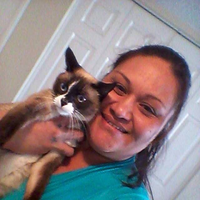 Bella is registered to the contest to win money with this photo: arm, carnivore, cat, comfort, domestic_short_haired_cat, ear, eyewear, fawn, felidae, fun, fur, gesture, happy, iris, moustache, nose, small_to_medium_sized_cats, smile, thai, whiskers