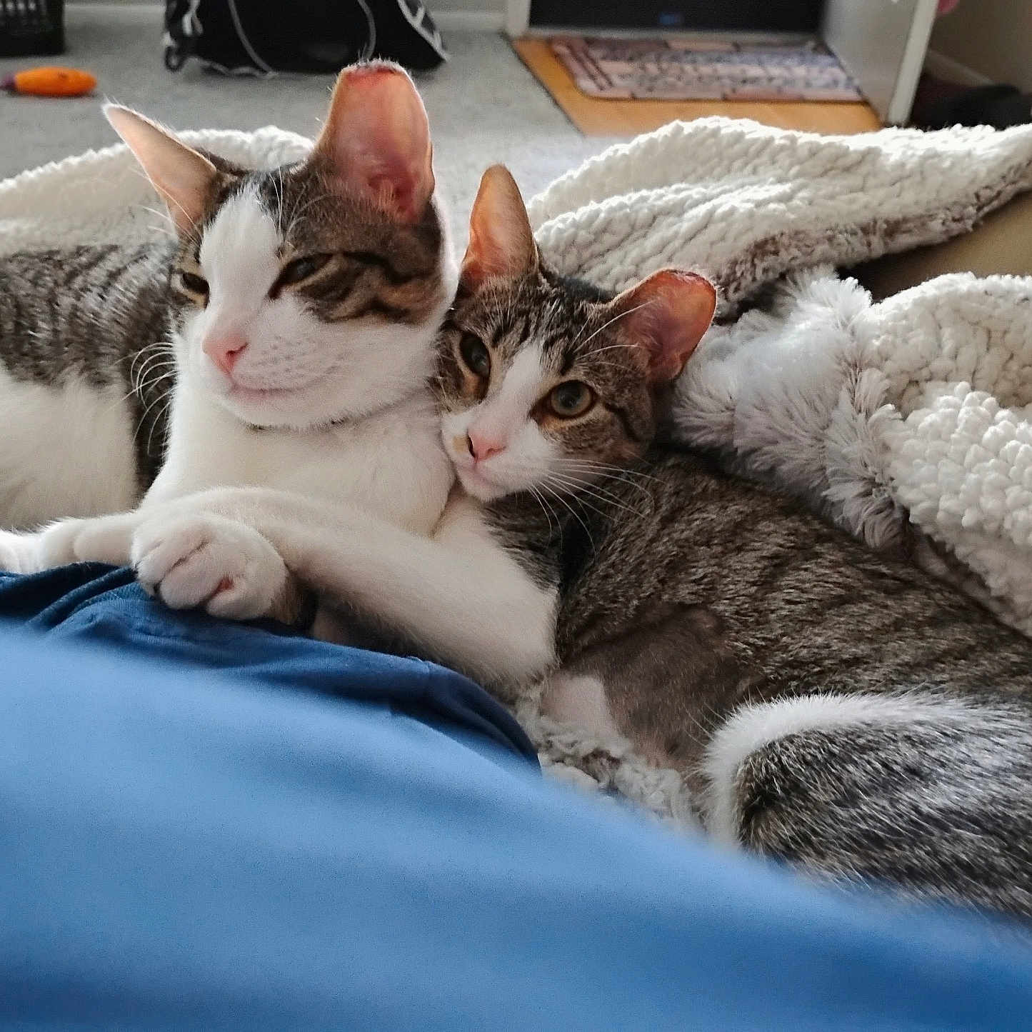 Sweetpee And Buddy