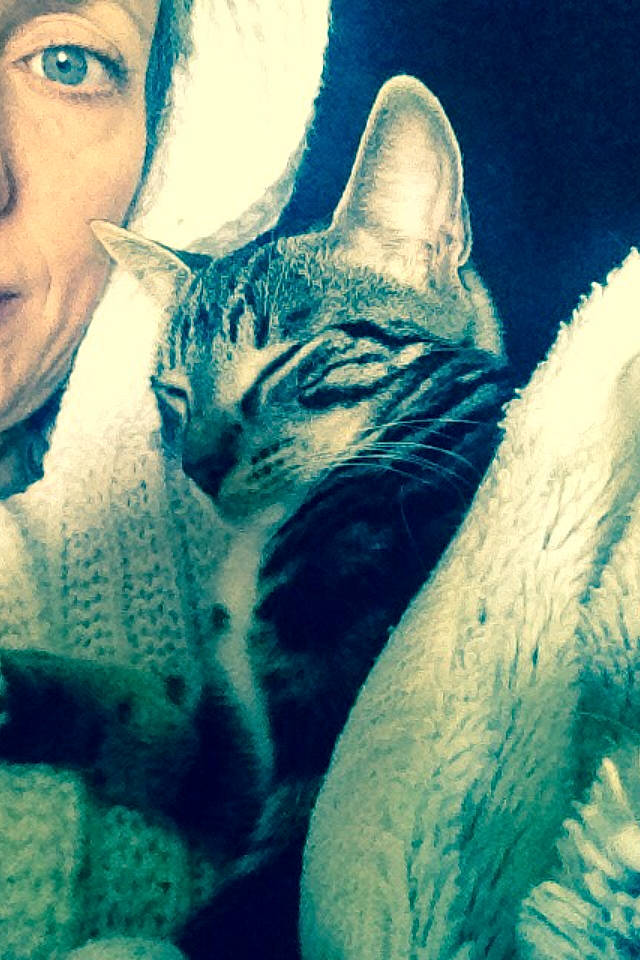 Tina participe au concours pour gagner de l'argent avec cette photo : blue, carnivore, cat, cloud, cool, ear, european_shorthair, eye, felidae, fur, head, kitten, nose, photography, selfie, sky, small_to_medium_sized_cats, tabby_cat, textile, whiskers