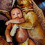 Rj Thomas joined the competition — help win amazing prizes! baby, dog, diaper, blanket, paw, cuddle, friendship, cute, infant, pet, animal, sleeping, comfort, resting, indoor, furry, skin, lying_down, companionship, togetherness